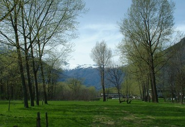 Panorama oasi bosco Tenso
